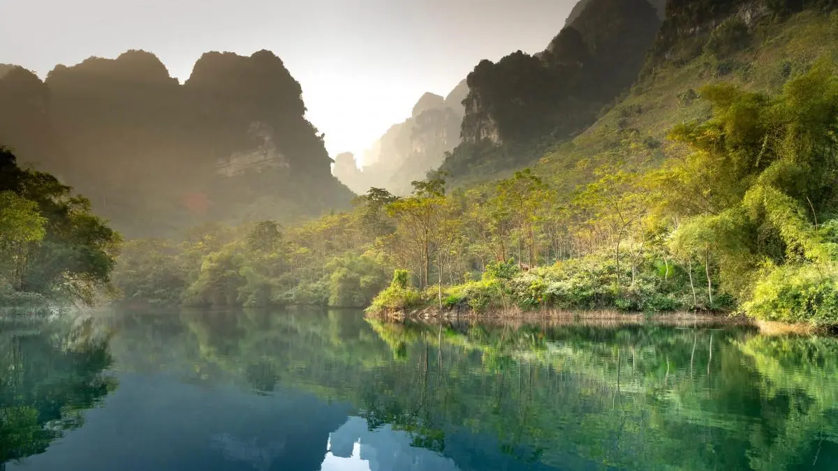 高端先进可靠性